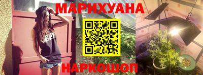 прущие грибы Ирбит