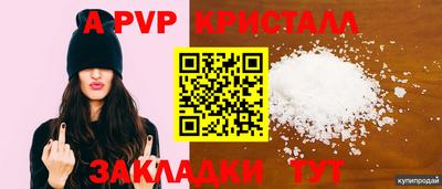 PSILOCYBIN Камышлов