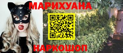 spice Кандалакша