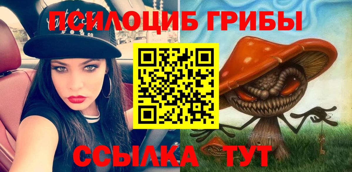 Галлюциногенные грибы мицелий  купить наркотик  Чебаркуль  Вход с VPN  Псилоцибиновые грибы ЛСД 